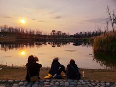 -白鹭湾湿地公园