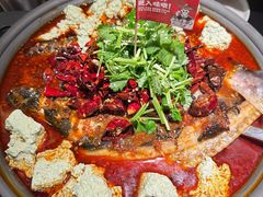 -师烤·豆花烤鱼(广州荔湾扬韬广场店)