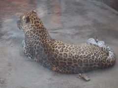 -西安秦岭野生动物园