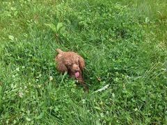 -白鹭湾湿地公园