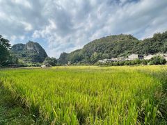 -高荡千年布依古寨旅游景区
