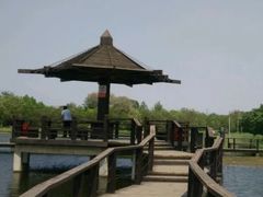 -前关湿地公园