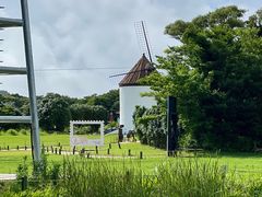 -济州森林小火车生态公园