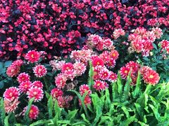 -龙环葡韵住宅式博物馆