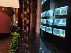 -鱼翅楼·津派砂锅鱼翅(水上公园店)
