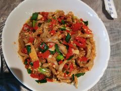 鸭掌筋-壹盏灯(惠农店)