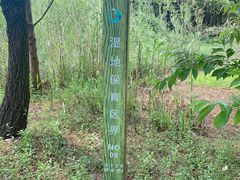 -同里国家湿地公园