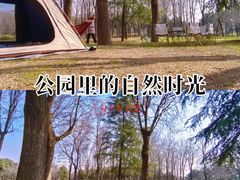 -洨河生态公园