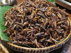 -银生食府·普洱菜(金星店)