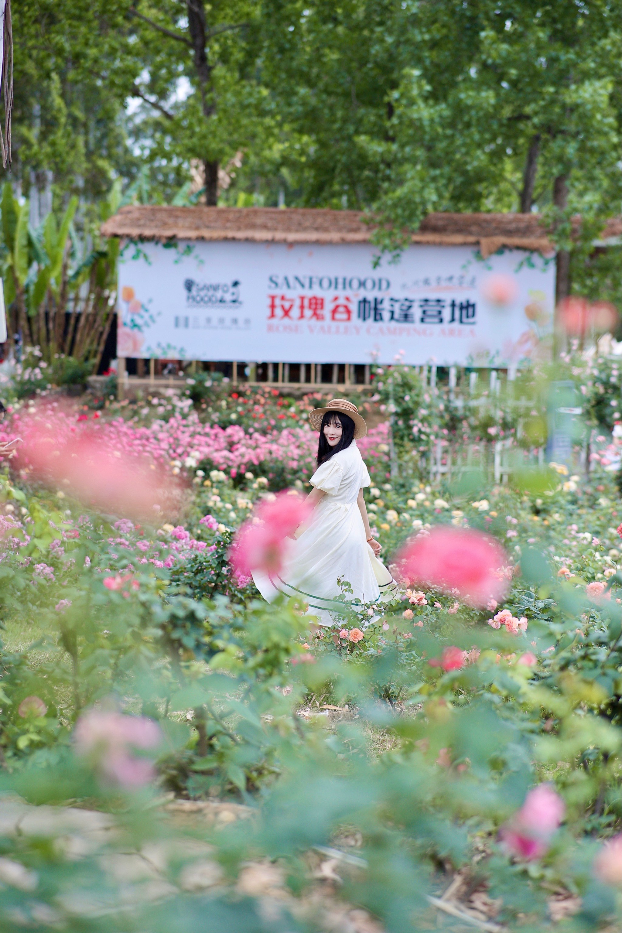 成都三圣乡花海景区图片