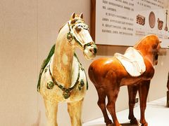 -深圳博物馆(古代艺术馆)