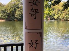 -荔湾湖公园