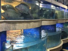 水产区-围龙屋客家食府(福田店)