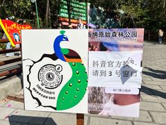 -西双版纳原始森林公园