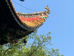 -南岳衡山风景名胜区-南岳大庙