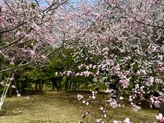 -朝阳公园