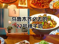 -柴窝堡22号辣子鸡·传承新疆菜