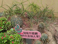 -正佳雨林生态植物园