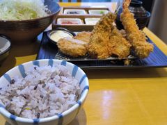 -胜博殿日式炸猪排(西红门店)