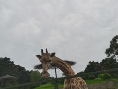 -沈阳森林动物园