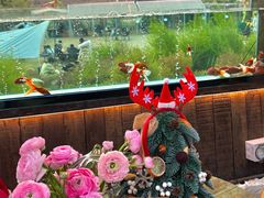 -三圣花乡旅游区