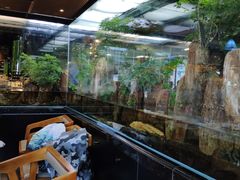 -泰谷酒店·太古码头闽菜自助餐厅