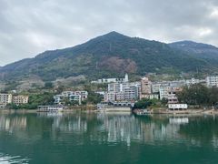 -广州市流溪河国家森林公园