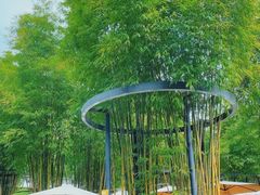 -扫雪煮茶(西村店)