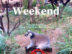 -北京野生动物园