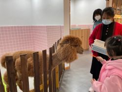 -Moni星球萌宠·小马宝莉·灵蛇·高端高阶全萌宠互动体验俱乐部(红豆国际广场店)