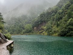 -大奇山国家森林公园