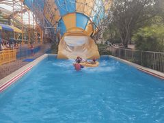 -重庆海昌加勒比海水世界