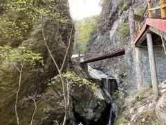 -牛背梁国家森林公园
