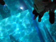 -暹罗海洋世界