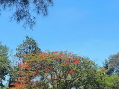 -东姑阿都拉曼海洋公园