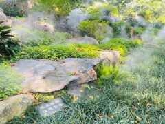-东莞植物园