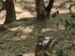 -黔灵山公园