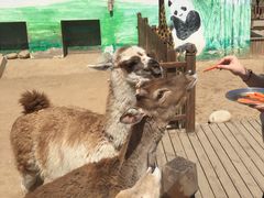 -西安秦岭野生动物园