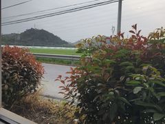 -李东农庄(中南百草园地标店)