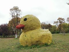 -上海都市菜园