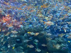 -成都浩海立方海洋公园