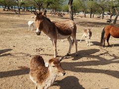 -西安秦岭野生动物园