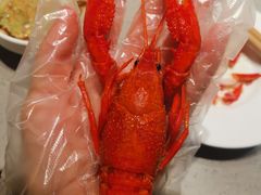 -虾弄弄海派小龙虾·牛羊蝎子火锅