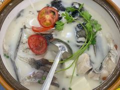 -全乐鱼馆·淳牌有机鱼直营店
