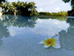 -海南霸王岭国家森林公园