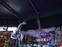 -南京银杏湖乐园