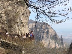 -云台山风景名胜区