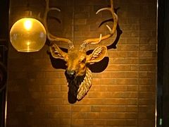 -故遥酒馆.赛事直播