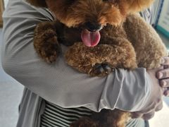 -心仪动物医院·牙专科·肿瘤·心脏科(西客站院)