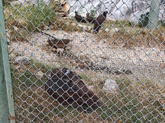 -石家庄市动物园